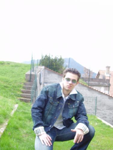 david